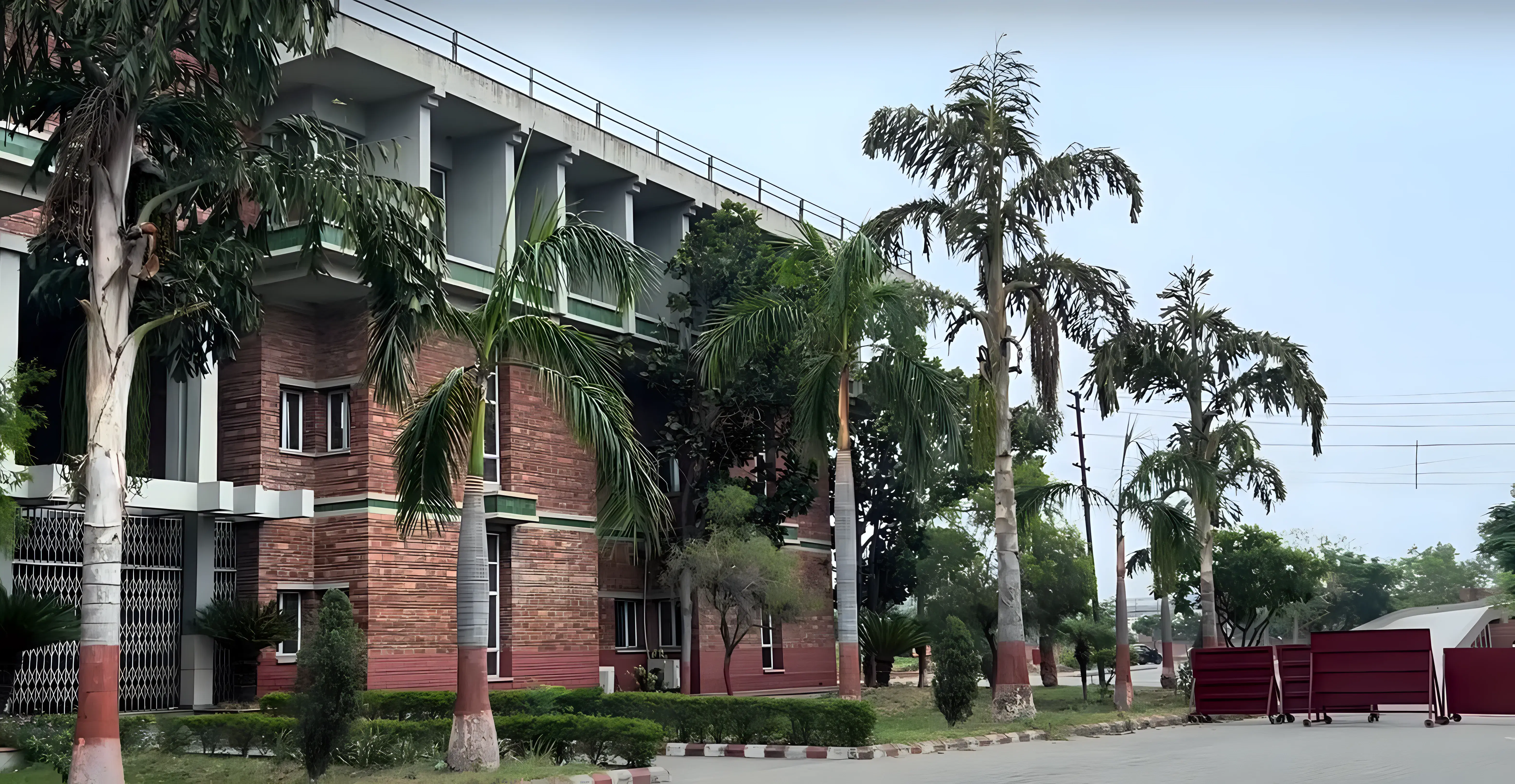 Vidya University Campus photo 8